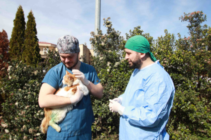 Yaralı Bulunan Kedi “Şanslı”, Patilik Mutlu Kasaba’da Hayata Tutundu