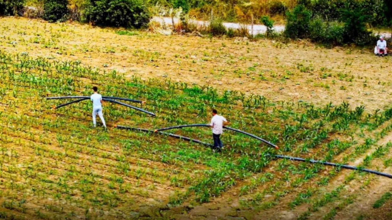Atıl kalan tarlalar verimli üretime döndü